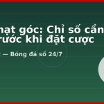 Kèo phạt góc: Chỉ số cần xem trước khi đặt cược